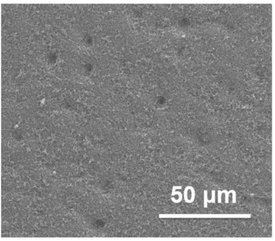 一種具有超疏水纖毛結(jié)構(gòu)的復(fù)合涂層、防水垢涂覆制品及其制備方法