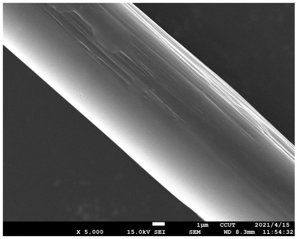 水性環(huán)氧改性柚皮苷、碳纖維上漿劑和上漿碳纖維及制備方法