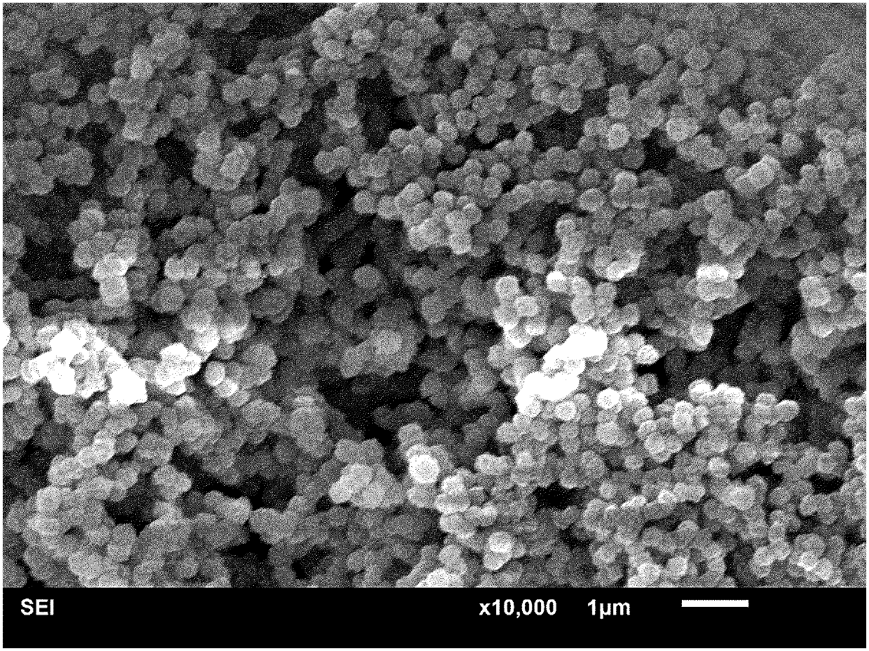 Polyacrylonitrile (PAN) and preparation method and use thereof