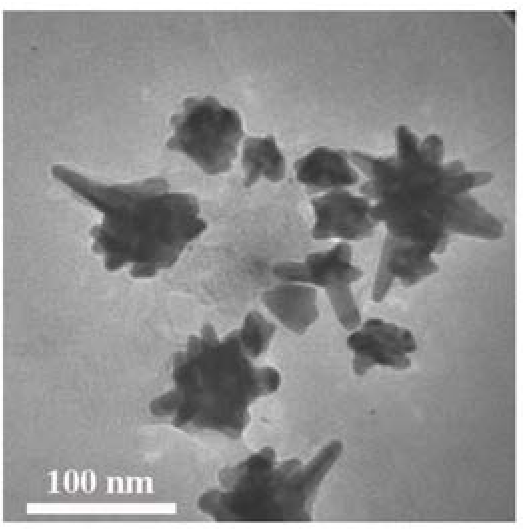 萬古霉素修飾的二硫化鉬/金納米針復(fù)合材料及其制備方法