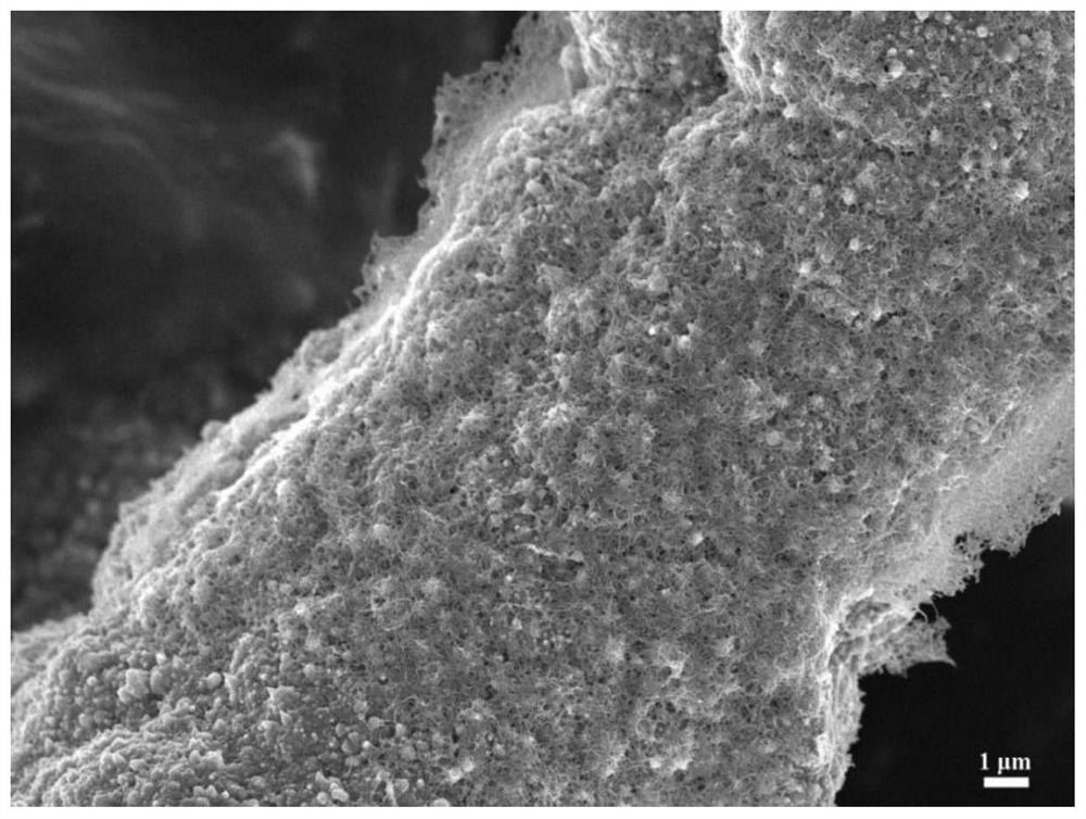 一種金屬銅/納米碳多尺度增強(qiáng)體修飾的碳纖維復(fù)合材料及其制備方法