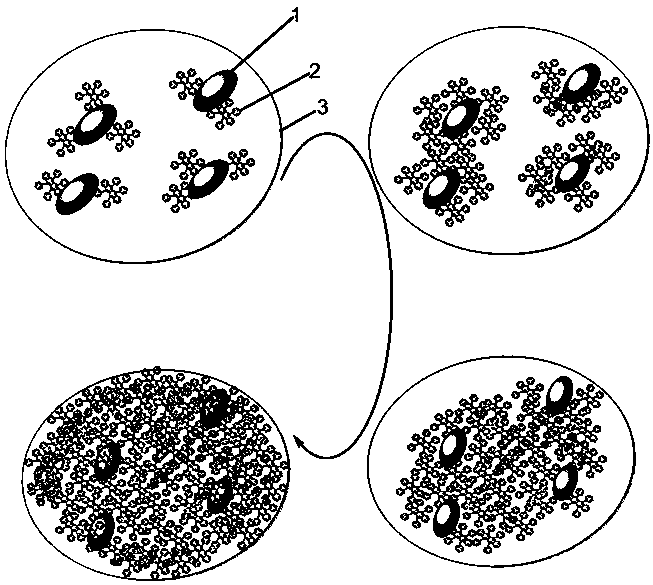 一種石墨烯量子點(diǎn)化學(xué)活性誘導(dǎo)生長(zhǎng)紅熒烯薄膜的方法